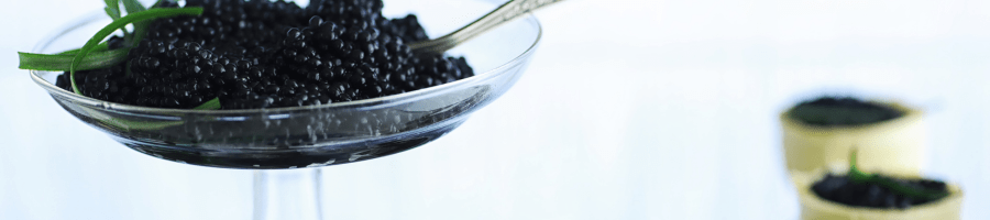 Caviar d'esturgeon